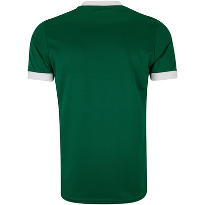 Camisa do Palmeiras I 25/26 Torcedor